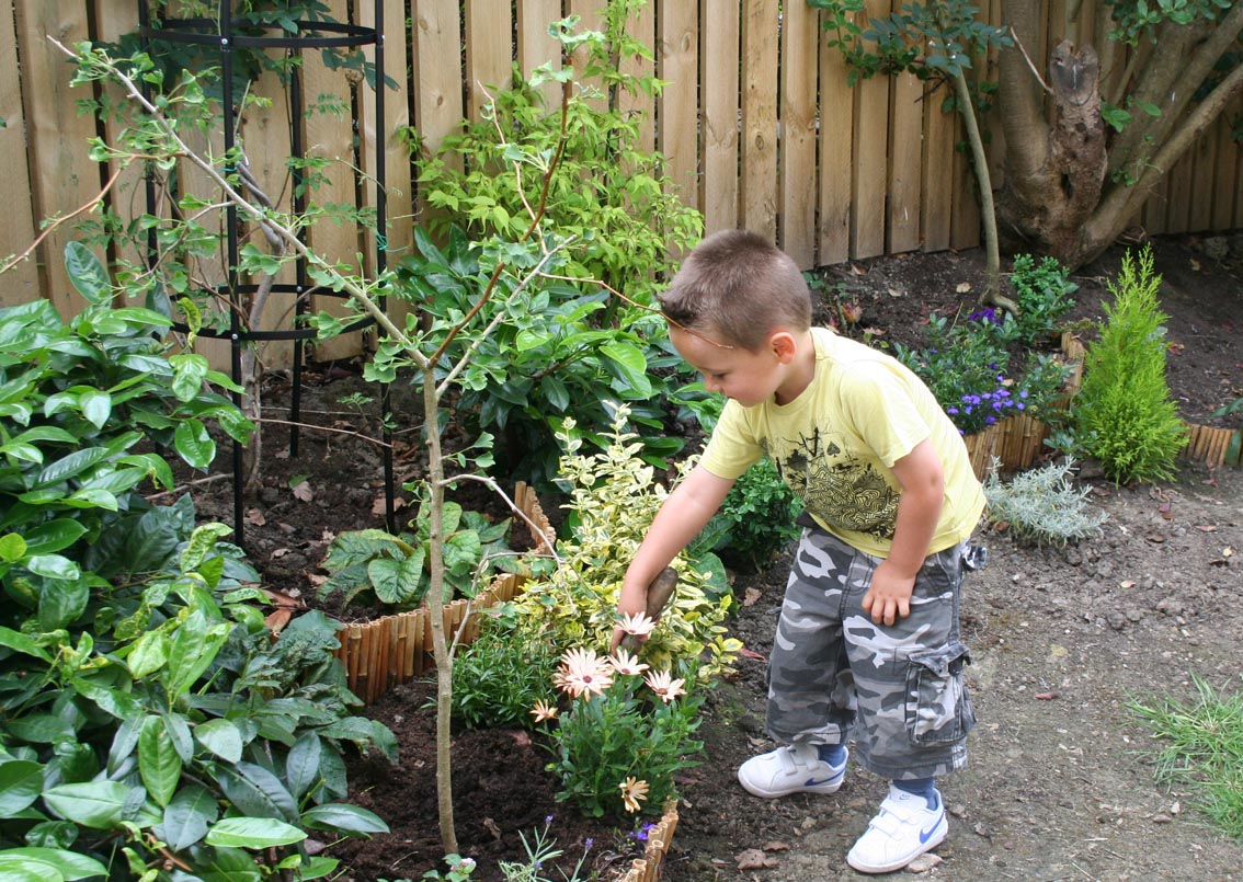 Boy in garden